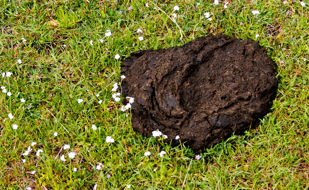 Natural Fertilization